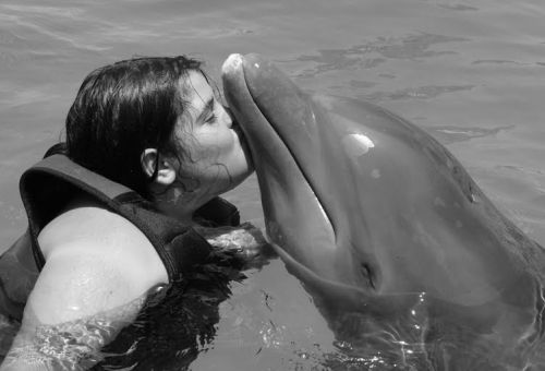 Fotografia de Carlos Busquets - Galeria Fotografica: Seleccion 1 - Foto: Veronica con delfin