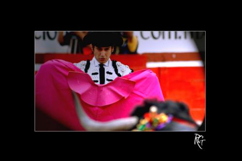 Fotografia de Roberto Gonzlez - Galeria Fotografica: EXPOSICION ESPACIO DEL ARTE EN  TELEVISA GUADALAJARA - Foto: MRAME A LOS OJOS