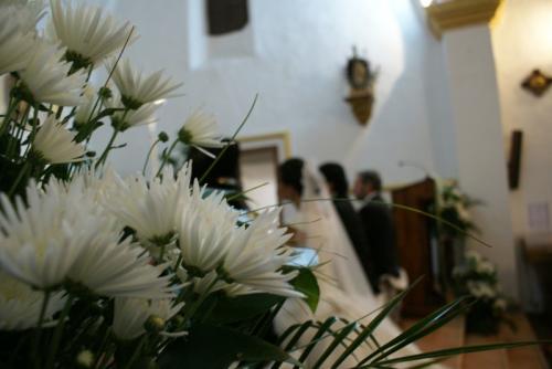 Fotografia de Menkanta.net - Galeria Fotografica: Menkanta - Foto: Flowers