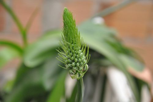 Fotografia de NELSON LEGUIZAMO - Galeria Fotografica: CIUDAD NOCTURNA - Foto: 