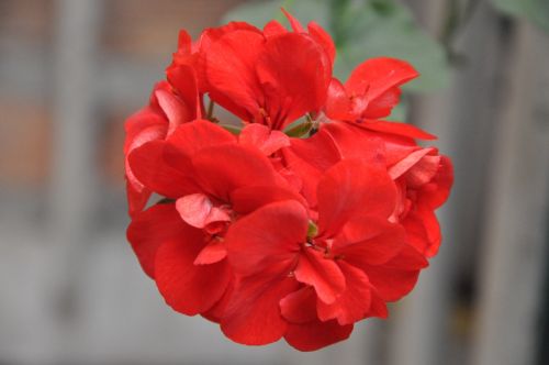 Fotografia de NELSON LEGUIZAMO - Galeria Fotografica: CIUDAD NOCTURNA - Foto: 