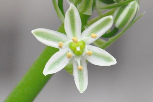 Fotografia de NELSON LEGUIZAMO - Galeria Fotografica: CIUDAD NOCTURNA - Foto: 