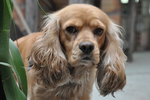 Fotografia de NELSON LEGUIZAMO - Galeria Fotografica: CIUDAD NOCTURNA - Foto: 