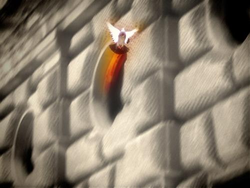 Fotografia de Jonatn - Galeria Fotografica: Alhambra - Foto: Paloma Fugaz