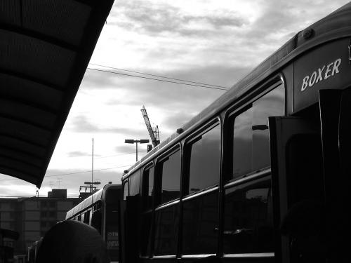 Fotografia de Javier Reynada - Galeria Fotografica: Fotogaleria B y N III - Foto: Boxer