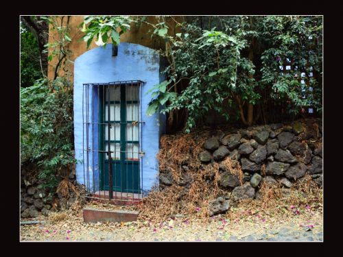 Fotografia de Ricardo del Ro - Galeria Fotografica: Tepoztlan, Morelos MEX - Foto: 