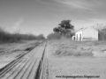Fotos de THE PASSENGER TRAIN -  Foto: Por las vias del pais entre...Trenes, ferrocarriles y un poco de historia - Vivero, ruinas del FCGSM