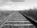 Fotos de THE PASSENGER TRAIN -  Foto: Por las vias del pais entre...Trenes, ferrocarriles y un poco de historia - Vias