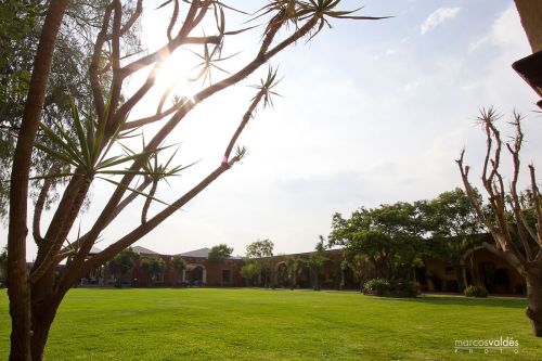 Fotografia de marcosvaldes PHOTO - Galeria Fotografica: eliyPaco - Foto: 