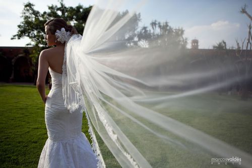 Fotografia de marcosvaldes PHOTO - Galeria Fotografica: eliyPaco - Foto: 