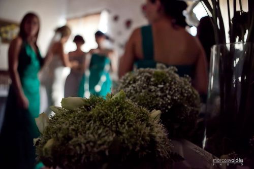 Fotografia de marcosvaldes PHOTO - Galeria Fotografica: eliyPaco - Foto: 