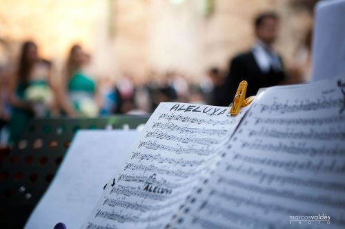 Fotografia de marcosvaldes PHOTO - Galeria Fotografica: eliyPaco - Foto: 