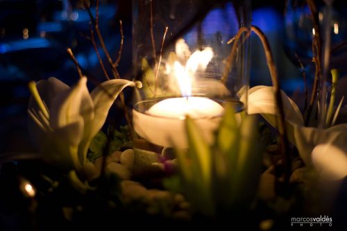 Fotografia de marcosvaldes PHOTO - Galeria Fotografica: eliyPaco - Foto: 