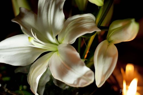 Fotografia de marcosvaldes PHOTO - Galeria Fotografica: eliyPaco - Foto: 