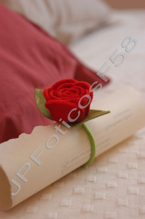 Fotografia de FOTICOS 58 HOSPITALET - Galeria Fotografica: Fotograf�as de estudio - Foto: 