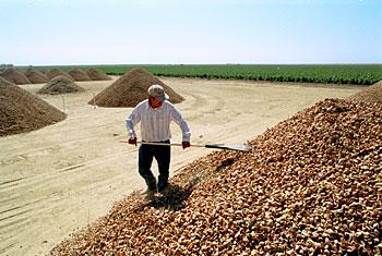 Fotografia de Edward Carreon Photography - Galeria Fotografica: Retrato - Foto: Agricultura