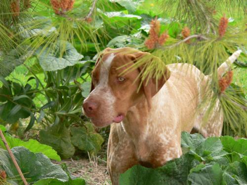 Fotografia de J_R - Galeria Fotografica: FREE DREAMS - Foto: TOM