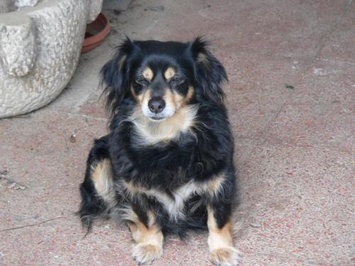 Fotografia de J_R - Galeria Fotografica: FREE DREAMS - Foto: CHUFLI