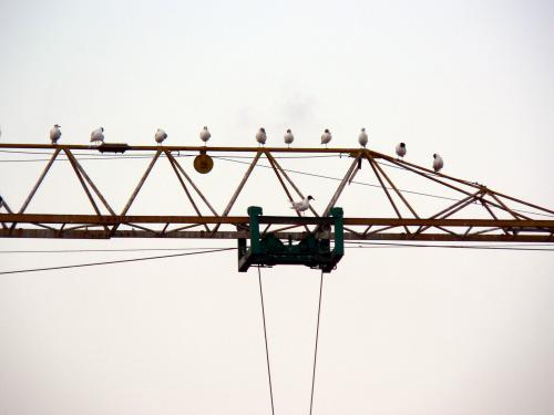 Fotografia de J_R - Galeria Fotografica: FREE DREAMS - Foto: 