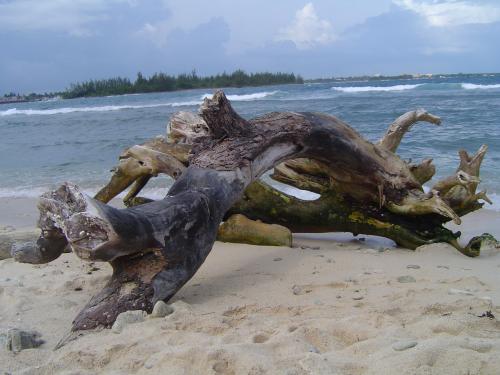 Fotografia de Braulio J. Herz Pictures - Galeria Fotografica: Paisajismo & Personas - Foto: Biodegradable