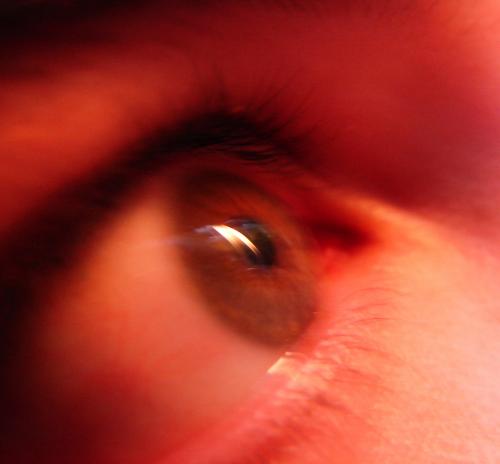 Fotografia de FGN - Galeria Fotografica: mis primeras fotos - Foto: piromaniaco