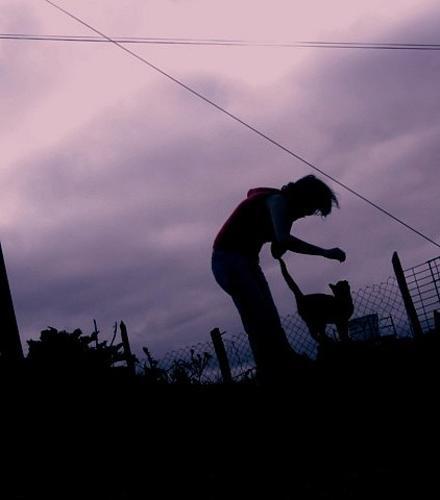 Fotografia de waleska - Galeria Fotografica: sinpayasadas - Foto: mejor amigo y no es un perro.