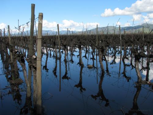 Fotografia de Rodrigo - Galeria Fotografica: Paisajes - Foto: Vias