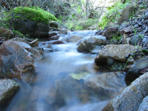 Fotografia de Rodrigo - Galeria Fotografica: Paisajes - Foto: Riachuelo