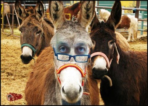 Fotografia de goyokogoyo - Galeria Fotografica: AL DETALLE - Foto: 