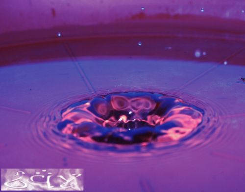 Fotografia de erakos32 - Galeria Fotografica: gotas - Foto: 24