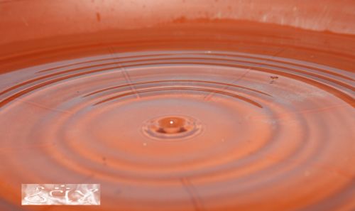 Fotografia de erakos32 - Galeria Fotografica: gotas - Foto: 23