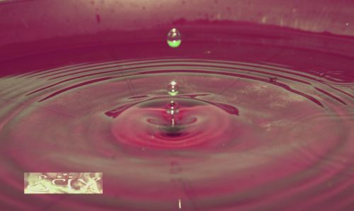 Fotografia de erakos32 - Galeria Fotografica: gotas - Foto: 19