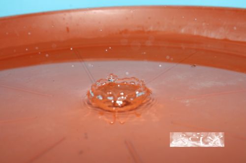 Fotografia de erakos32 - Galeria Fotografica: gotas - Foto: 22