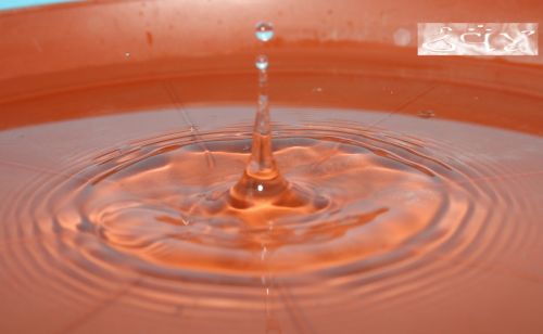 Fotografia de erakos32 - Galeria Fotografica: gotas - Foto: 11