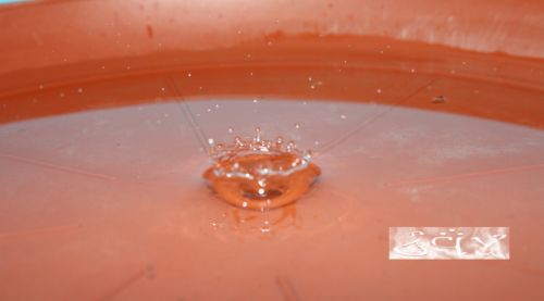 Fotografia de erakos32 - Galeria Fotografica: gotas - Foto: 15