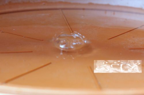 Fotografia de erakos32 - Galeria Fotografica: gotas - Foto: 18