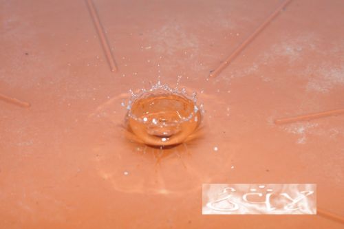 Fotografia de erakos32 - Galeria Fotografica: gotas - Foto: 10