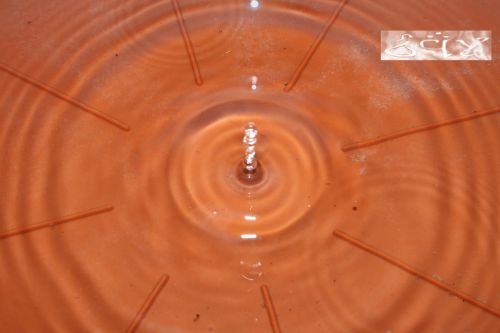 Fotografia de erakos32 - Galeria Fotografica: gotas - Foto: 7