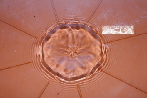 Fotografia de erakos32 - Galeria Fotografica: gotas - Foto: 6