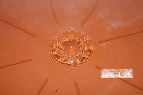 Fotografia de erakos32 - Galeria Fotografica: gotas - Foto: 5