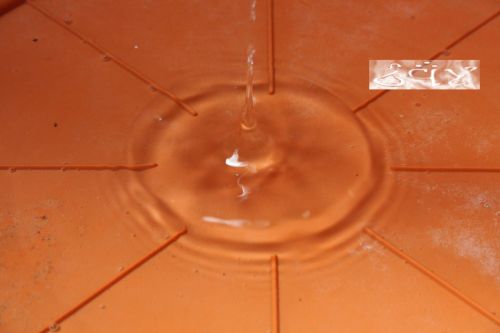 Fotografia de erakos32 - Galeria Fotografica: gotas - Foto: 1