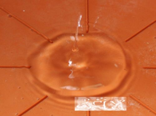 Fotografia de erakos32 - Galeria Fotografica: gotas - Foto: 26