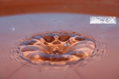 Fotografia de erakos32 - Galeria Fotografica: gotas - Foto: 29