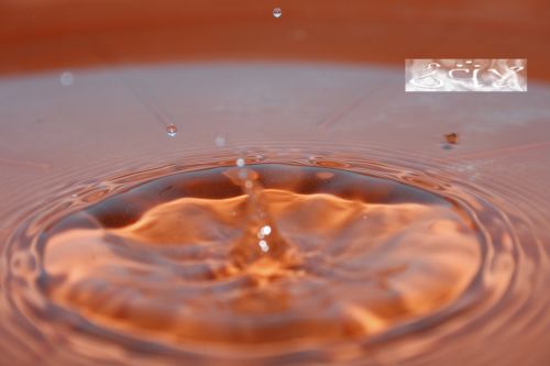 Fotografia de erakos32 - Galeria Fotografica: gotas - Foto: 32