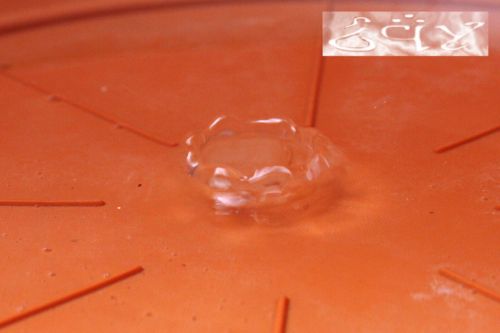 Fotografia de erakos32 - Galeria Fotografica: gotas - Foto: 33