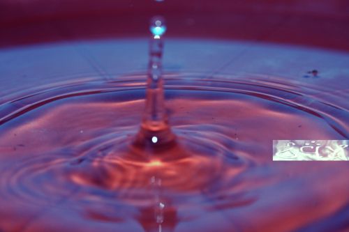 Fotografia de erakos32 - Galeria Fotografica: gotas - Foto: 34