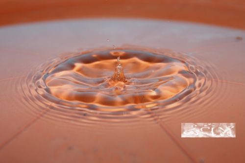 Fotografia de erakos32 - Galeria Fotografica: gotas - Foto: 36