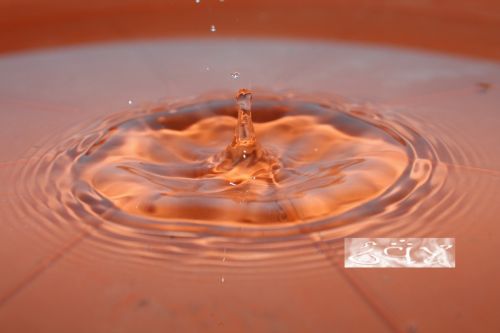 Fotografia de erakos32 - Galeria Fotografica: gotas - Foto: 38