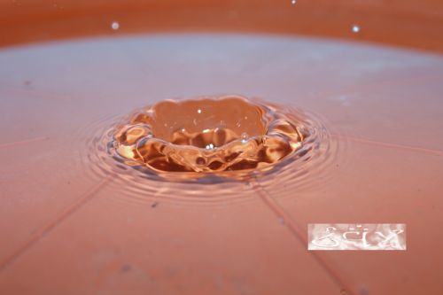 Fotografia de erakos32 - Galeria Fotografica: gotas - Foto: 39