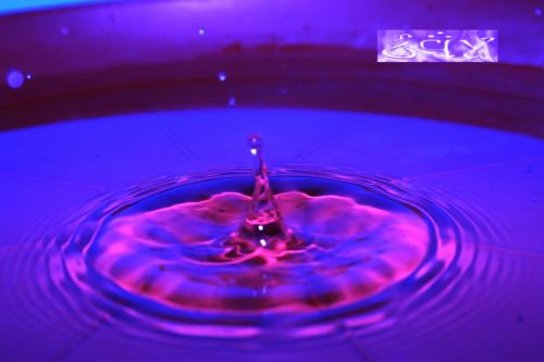 Fotografia de erakos32 - Galeria Fotografica: gotas - Foto: 40